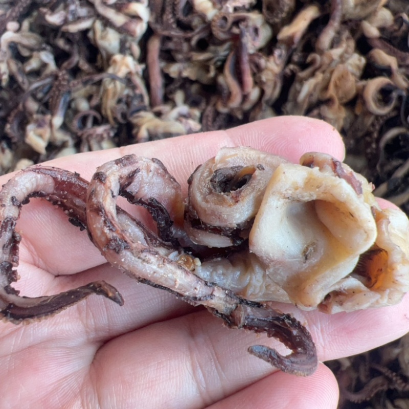 八爪鱼干地摊电商批发章鱼尾尖路边烧烤铁板八爪鱼腿八爪鱼须