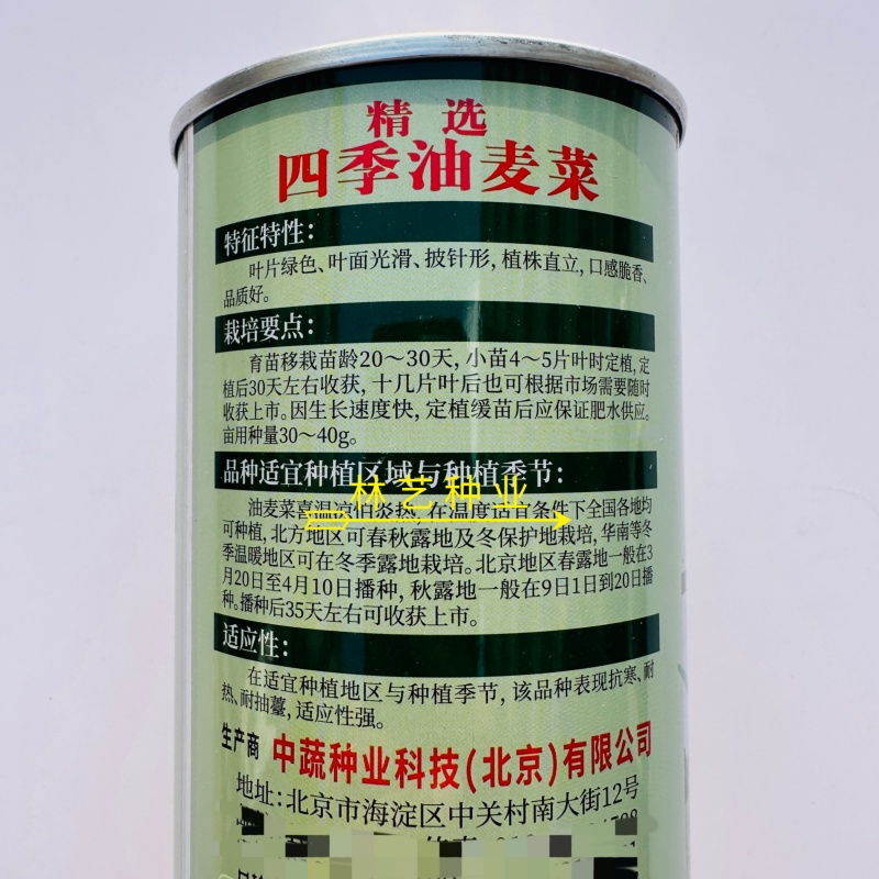 精选四季油麦菜种子植株直立口感脆香耐热耐寒四季种无斑香油