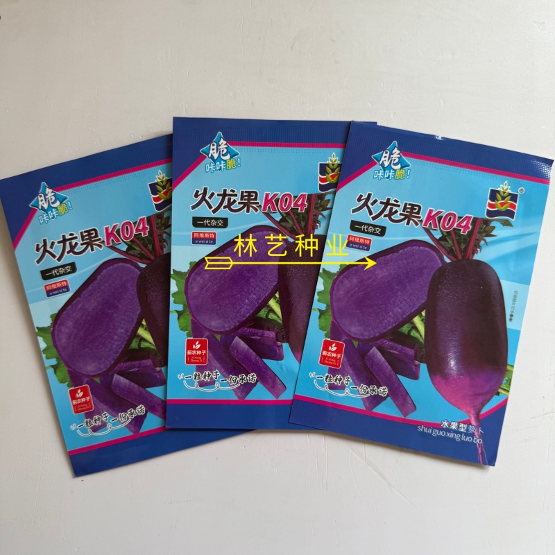 火龙果K04水果萝卜种子50粒紫皮紫肉萝卜抗病耐低温