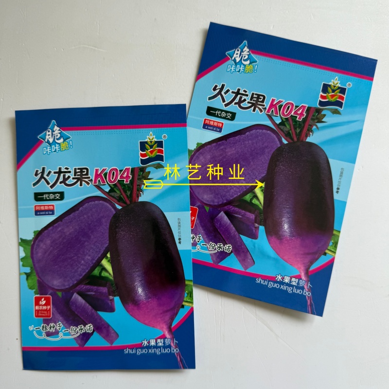 火龙果K04水果萝卜种子50粒紫皮紫肉萝卜抗病耐低温