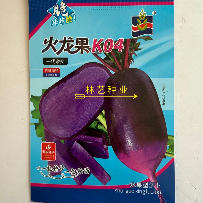 火龙果K04水果萝卜种子50粒紫皮紫肉萝卜抗病耐低温