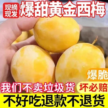 陕西黄金西梅一件代发对接各大电商平台多多落地配