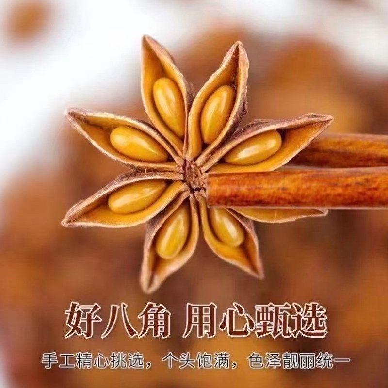 广西六万山大红无硫八角，自家种植