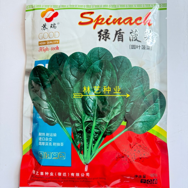 绿盾菠菜种子耐抽苔中早熟春秋大圆叶菠菜蔬菜种籽耐热叶