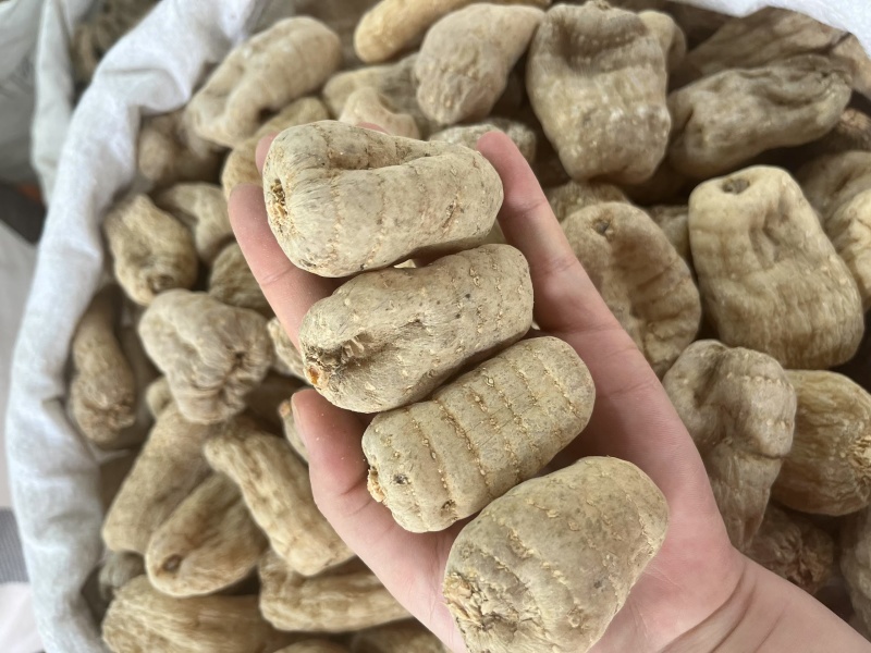 云南昭通正宗小草坝天麻现货先发一手货源包邮视频看货