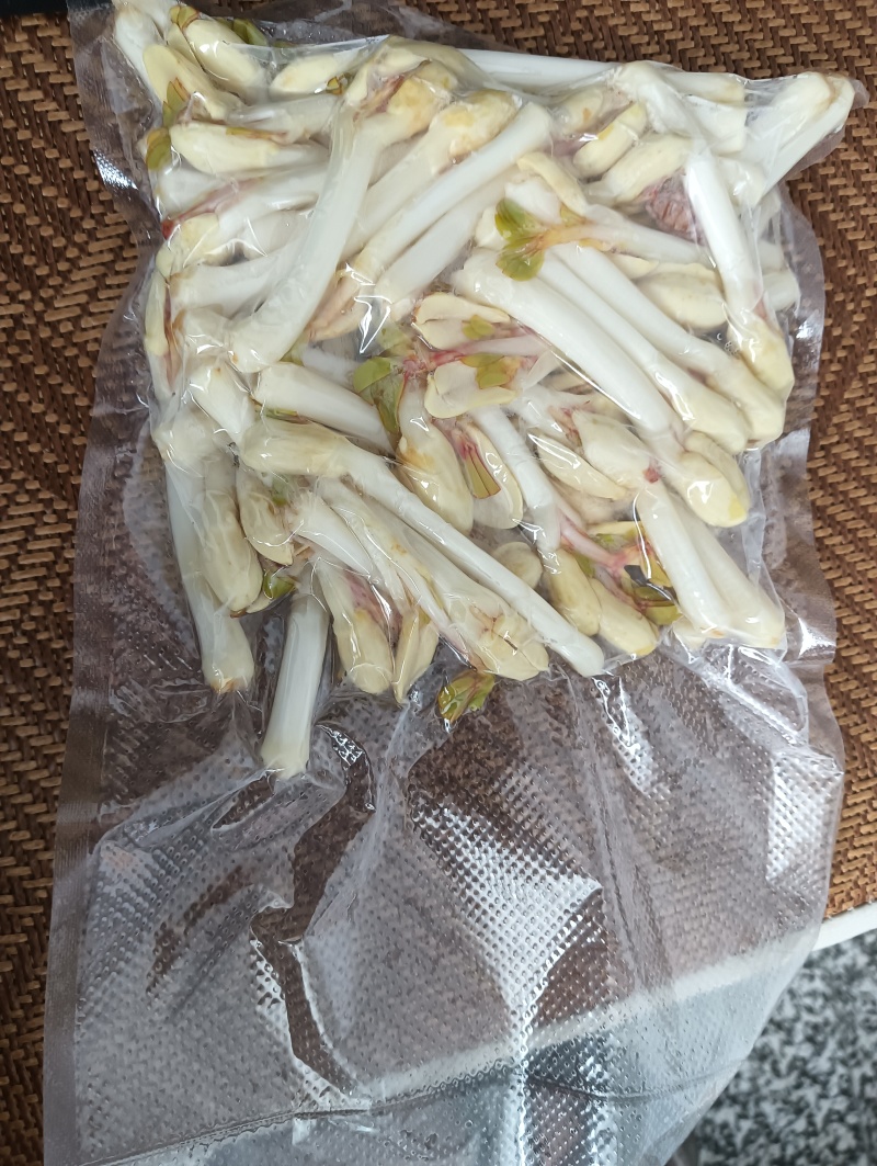 花生豆芽