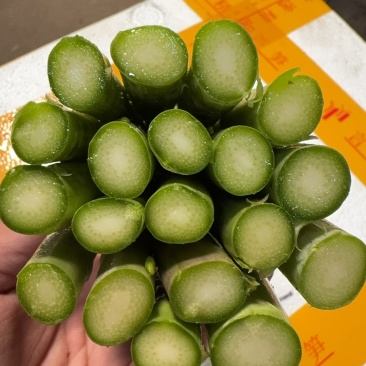 各种规格精品芦笋
