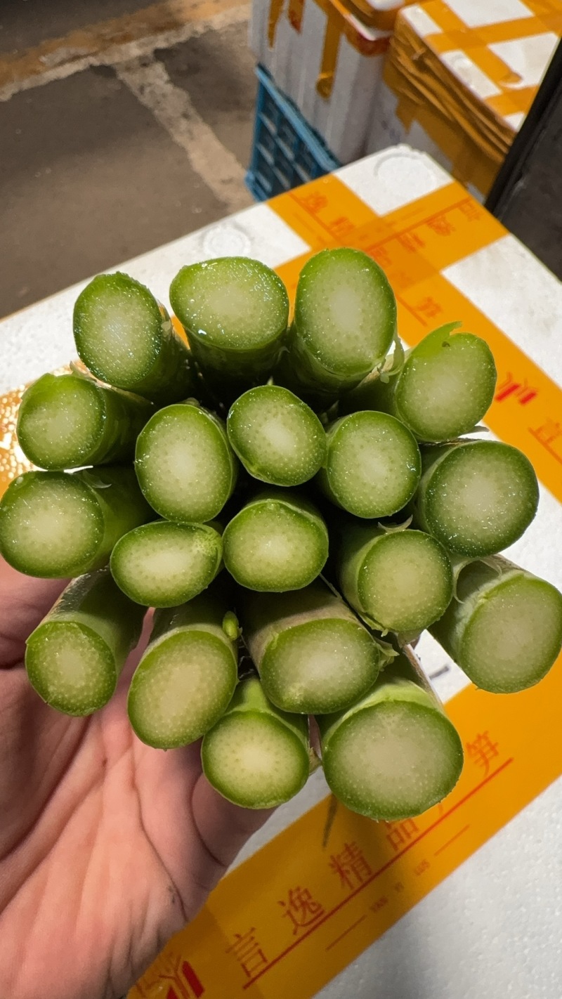 各种规格精品芦笋