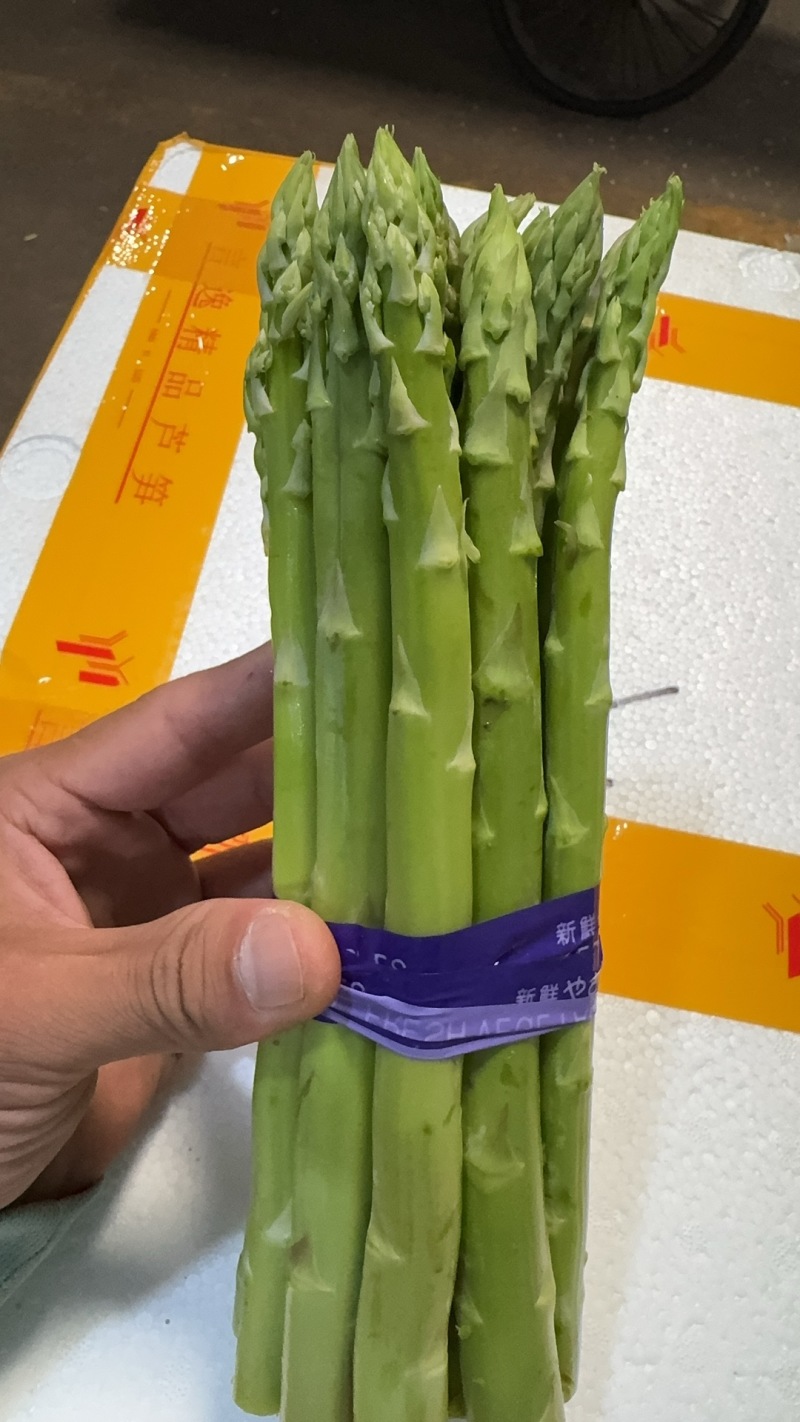 各种规格精品芦笋
