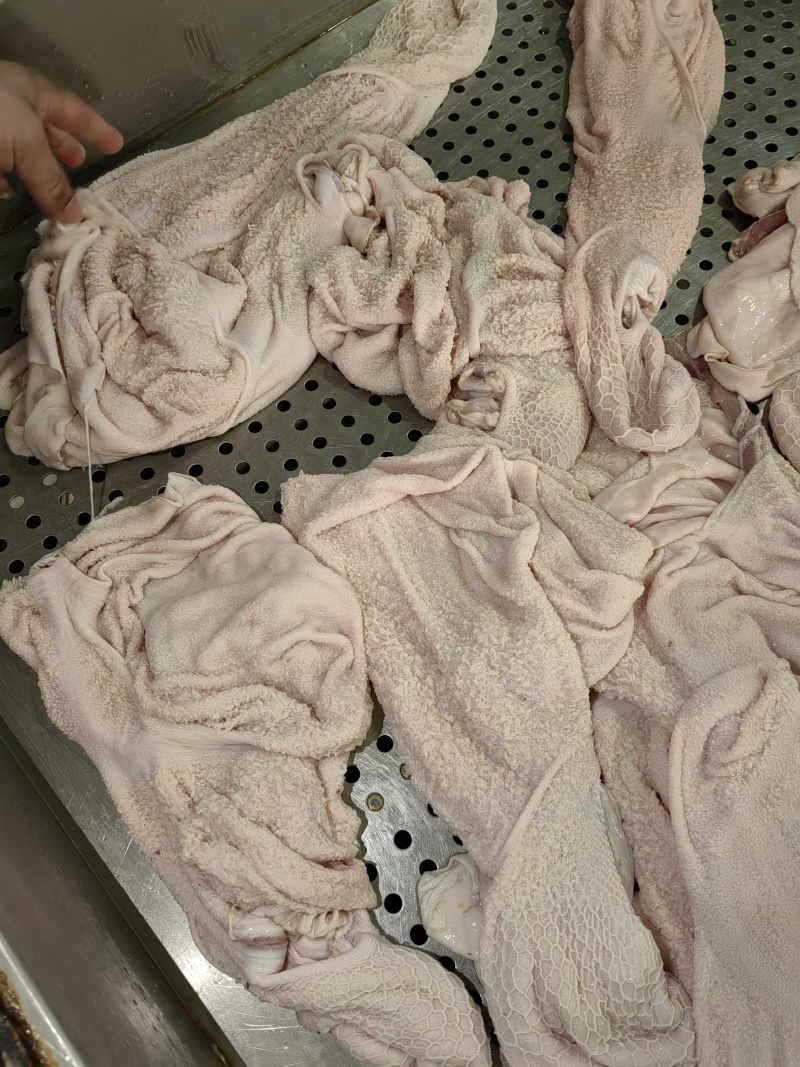 水褪羊肚羔羊净肚