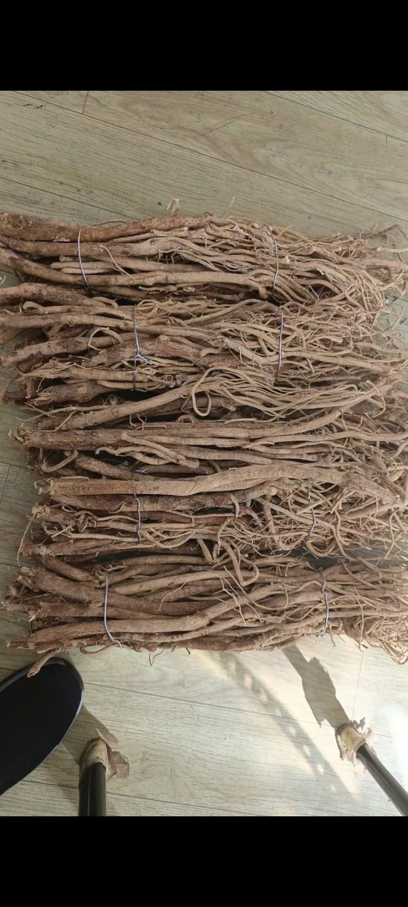 长白山野生黄芪自己踩的货不多就五斤野生的品相不好质量好