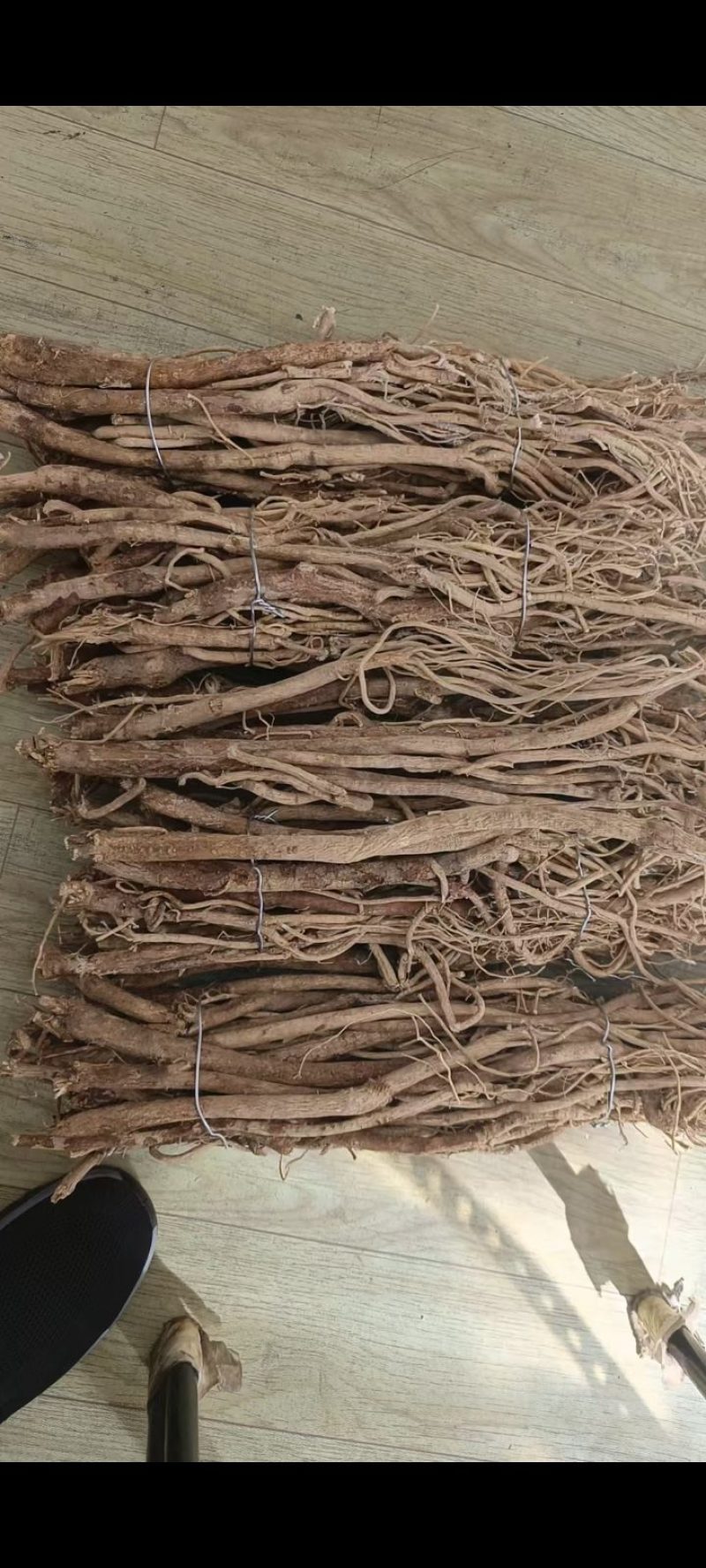 长白山野生黄芪自己踩的货不多就五斤野生的品相不好质量好
