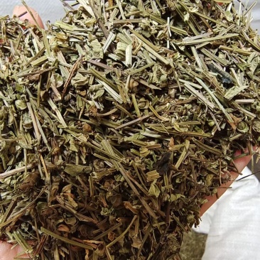 半枝莲干货中药材2斤包邮量大优惠