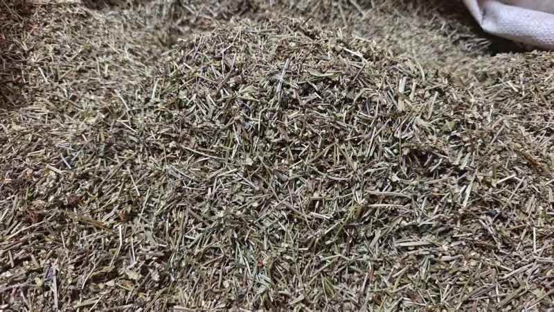 半枝莲干货中药材2斤包邮量大优惠