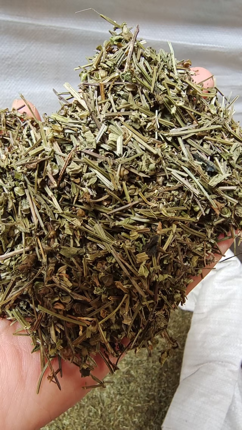半枝莲干货中药材2斤包邮量大优惠