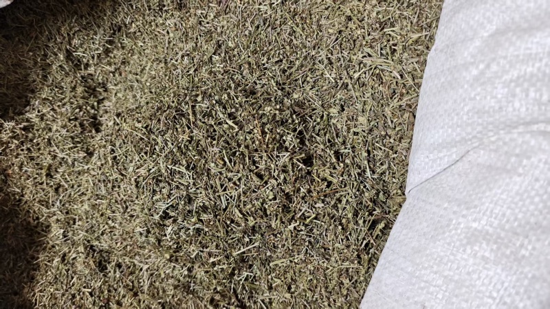 半枝莲干货中药材2斤包邮量大优惠