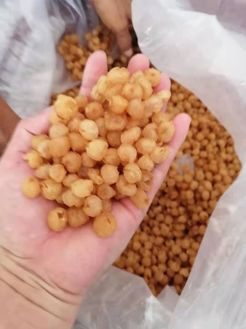 广西桂圆肉，博白桂圆肉纯手工加工出来，质量保证。