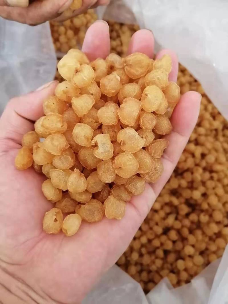 广西桂圆肉，博白桂圆肉纯手工加工出来，质量保证。