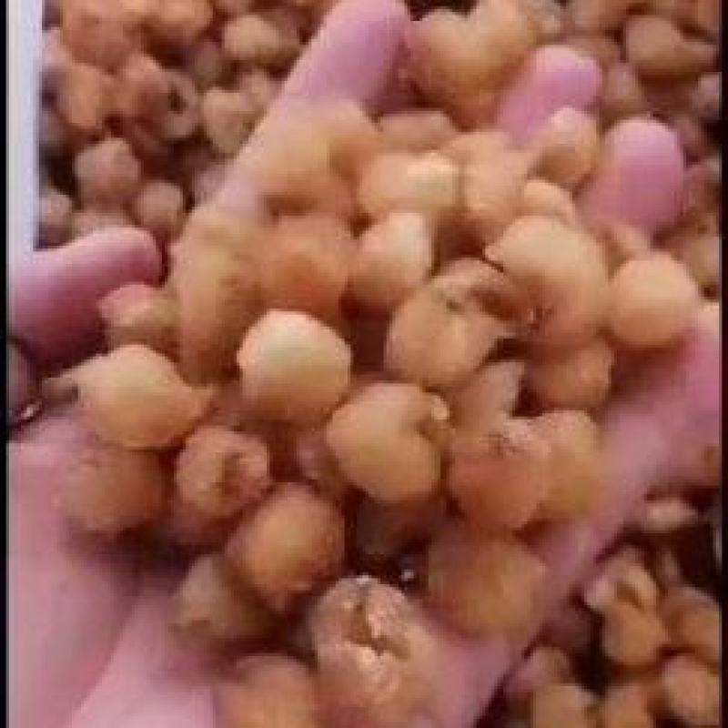 广西桂圆肉，博白桂圆肉纯手工加工出来，质量保证。