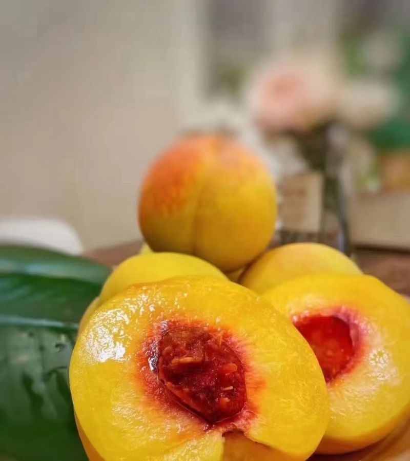 建宁锦绣黄桃，夏日限定水果！特价出售，量大优惠，一件代发！