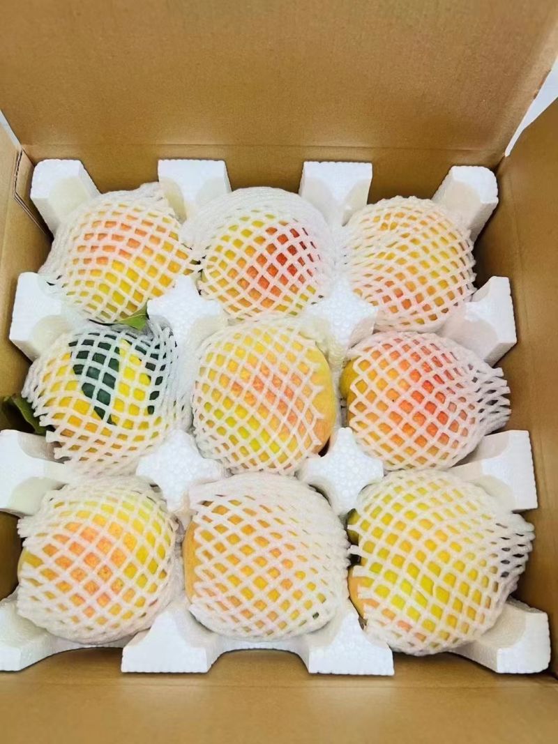 建宁锦绣黄桃，夏日限定水果！特价出售，量大优惠，一件代发！