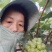 阳光玫瑰