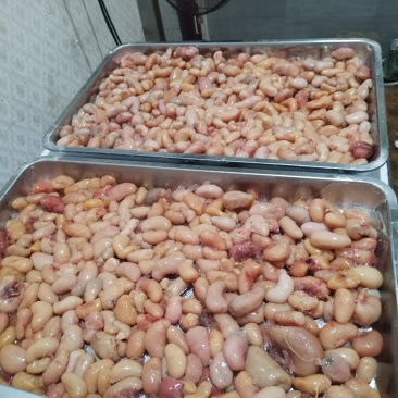 三黄鸡腰，冻货，中号，50到60粒，便宜出