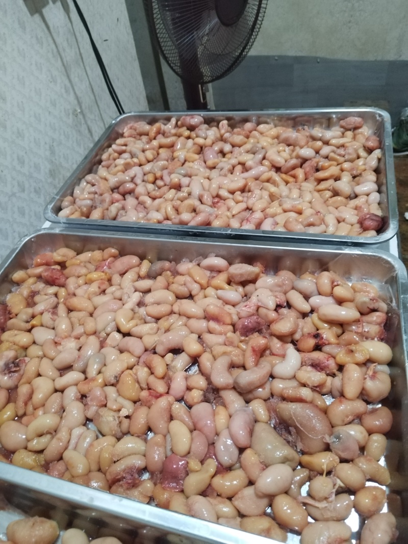 三黄鸡腰，冻货，中号，50到60粒，便宜出