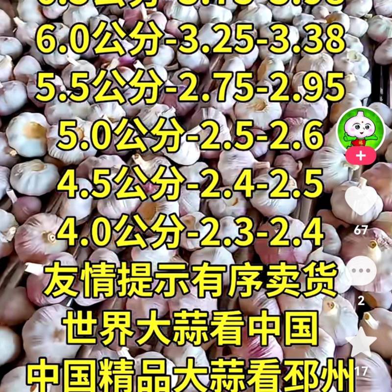 干蒜