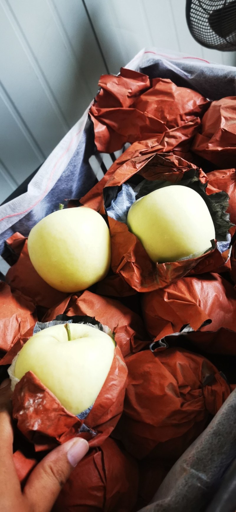 白色纸袋华硕苹果，80起步，果色干净，非常漂亮，