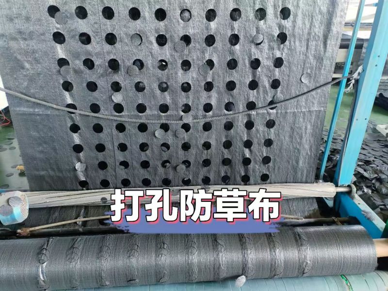 新型防草布，除草布，耐用果园中草药，等等，生产厂家可定制