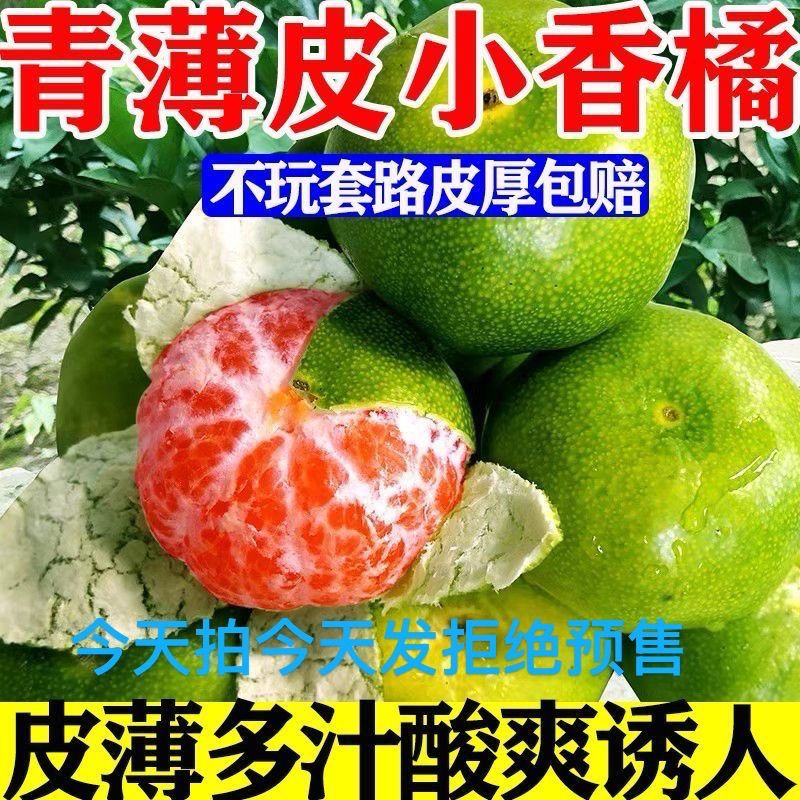 【电商代发一件】云南蜜橘新鲜蜜桔电商一件代发