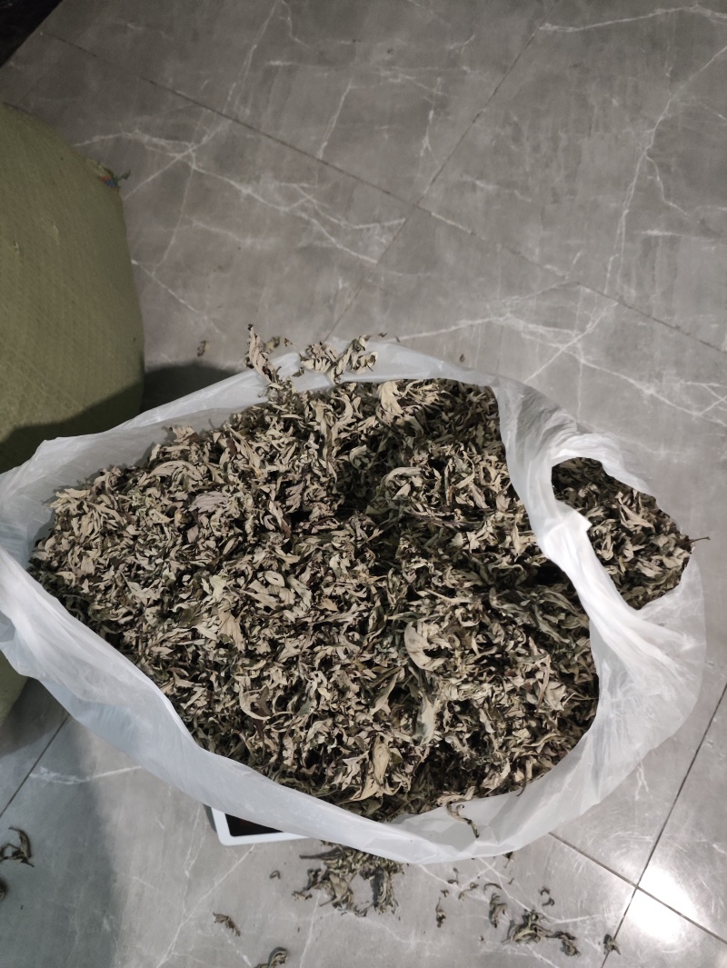 四川野生艾叶陈艾叶大量有货有新货也有陈货