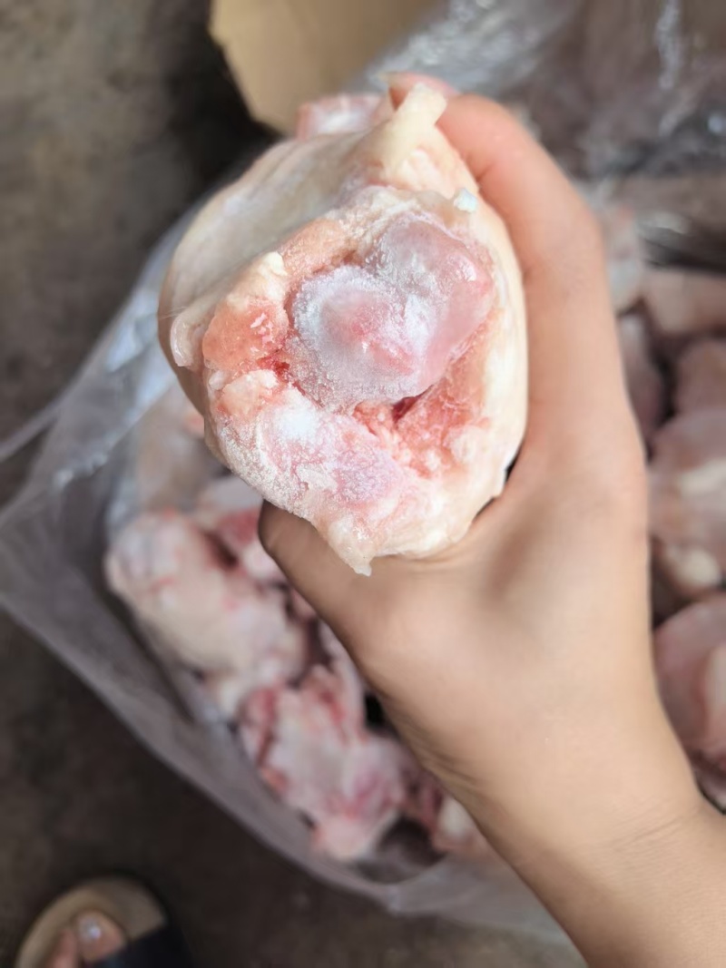 肥猪脚圈
