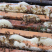 农家土蜂蜜