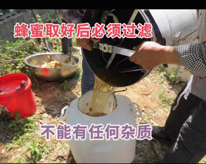 农家土蜂蜜