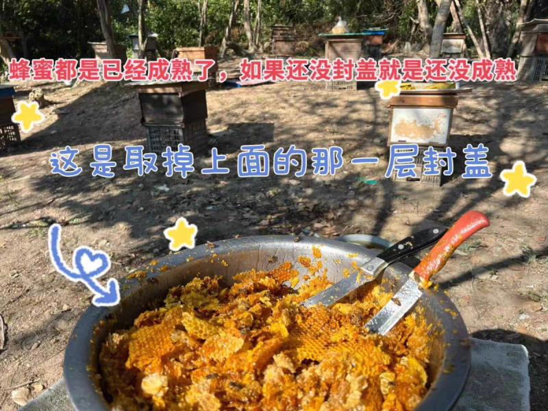 农家土蜂蜜