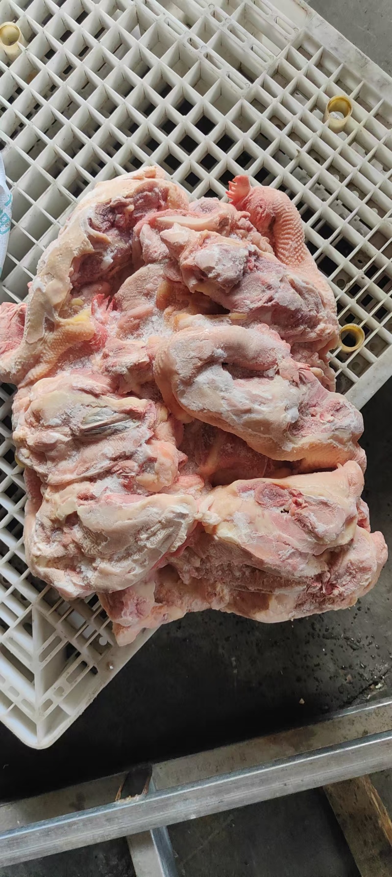 种鸡鸡架