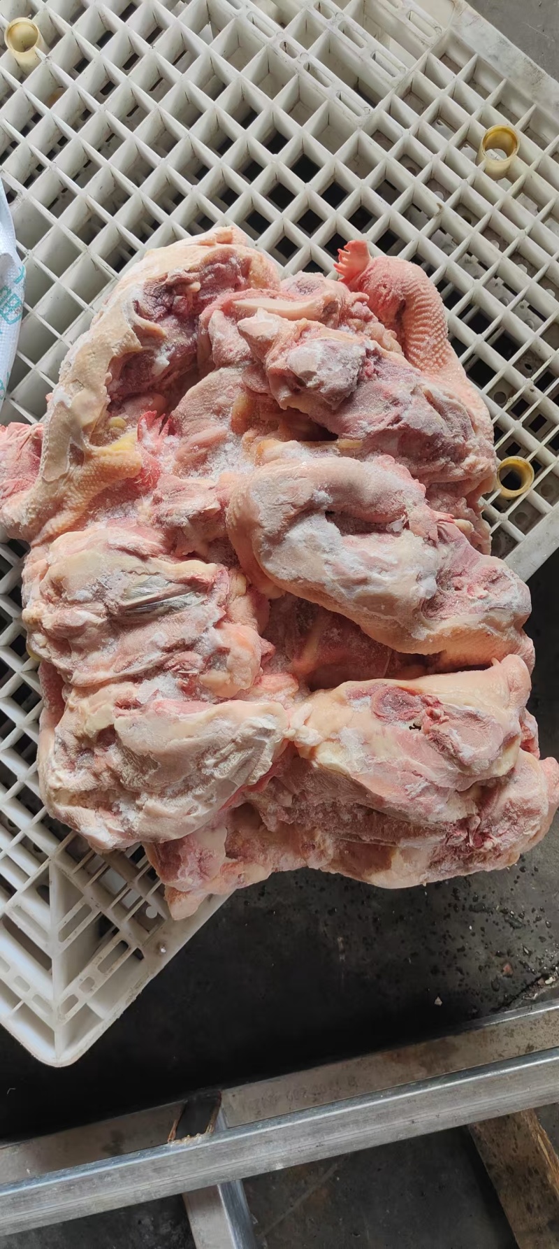 种鸡鸡架