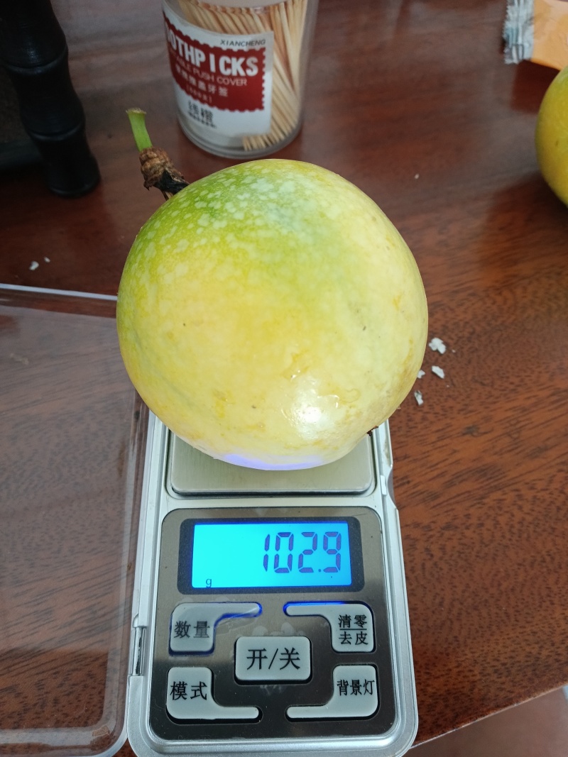 百香果钦蜜9号