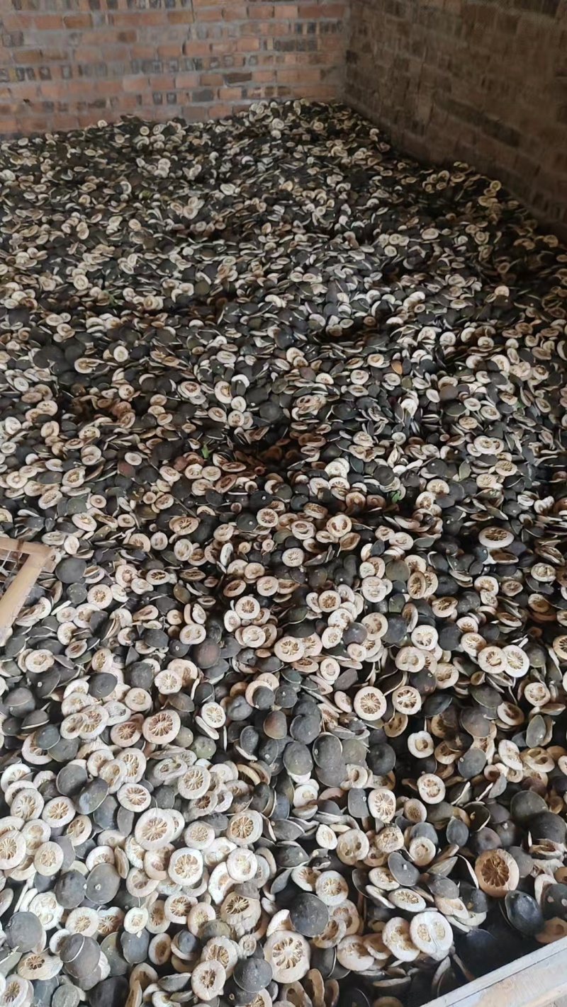 干枳壳，价格商议