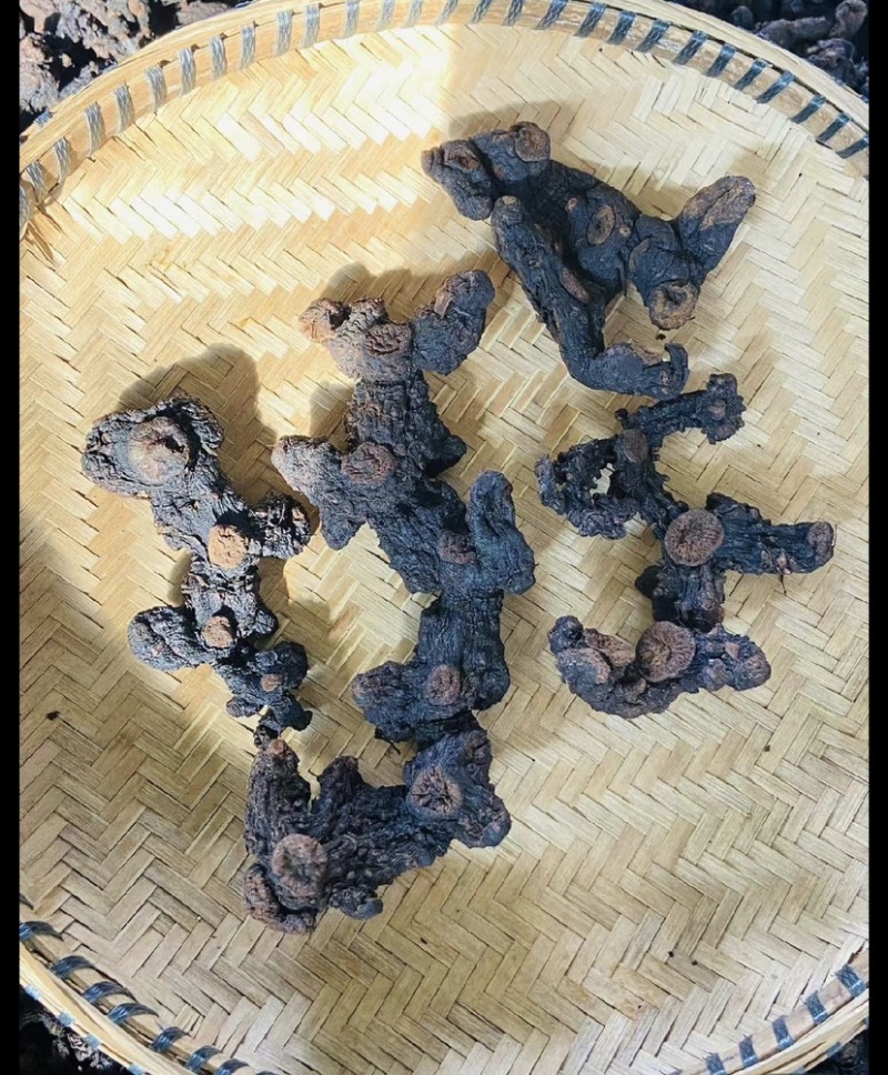 【九蒸九晒野生无硫】特级贵州野生黄精古法炮制无熏硫