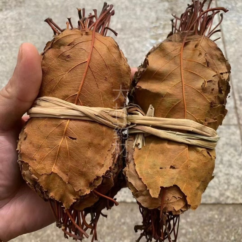 山楂叶【包邮】三斤起发货可批量可零售量大从优