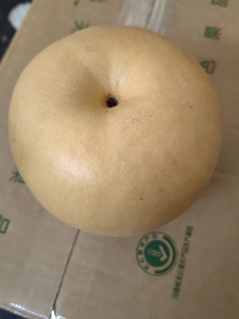 博望镇正宗圆黄梨批发，电商**一件代发