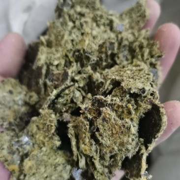棉籽饼牛羊养殖饲料育肥棉饼有机肥瓜果蔬菜增收增产量大从优
