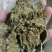 棉籽饼牛羊养殖饲料育肥棉饼有机肥瓜果蔬菜增收增产量大从优