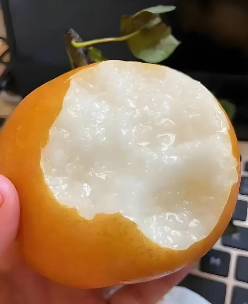 【推荐】秋月梨现摘现发视频看货欢迎咨询