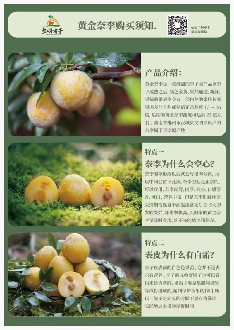 文明黄金李