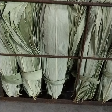 粽叶，建宁高山烘干粽叶