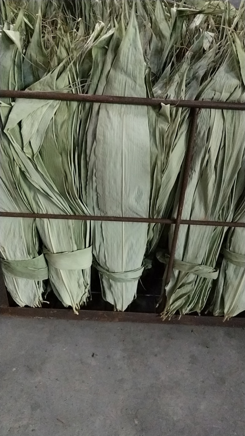 粽叶，建宁高山烘干粽叶